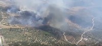 Imagen del incendio forestal en Periana - Plan Infoca